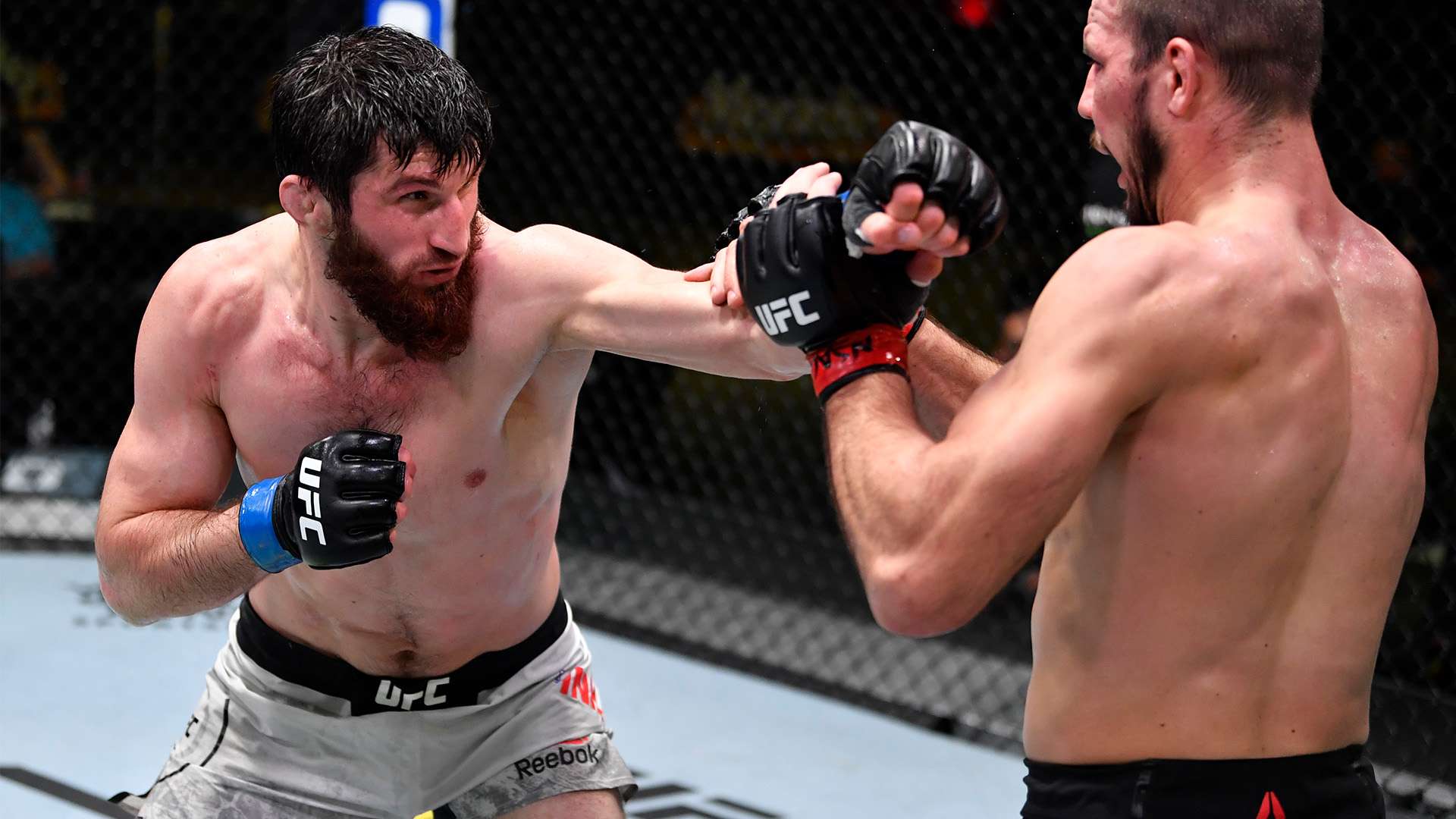 技术见长 技术见长