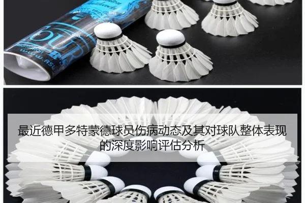 最近德甲多特蒙德球员伤病动态及其对球队整体表现的深度影响评估分析